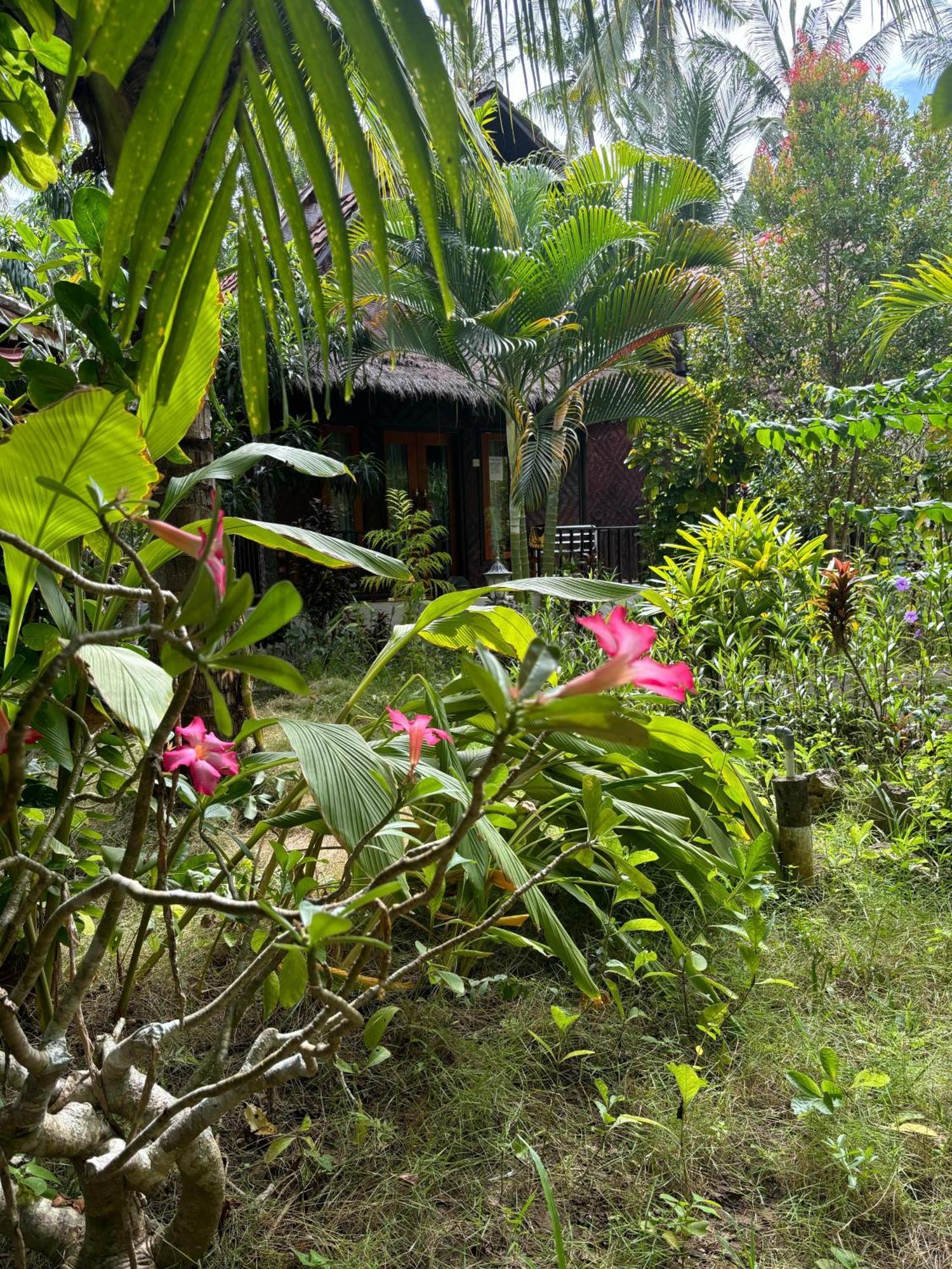 Kubu Artha Bungalow Nusa Penida Ped Екстериор снимка