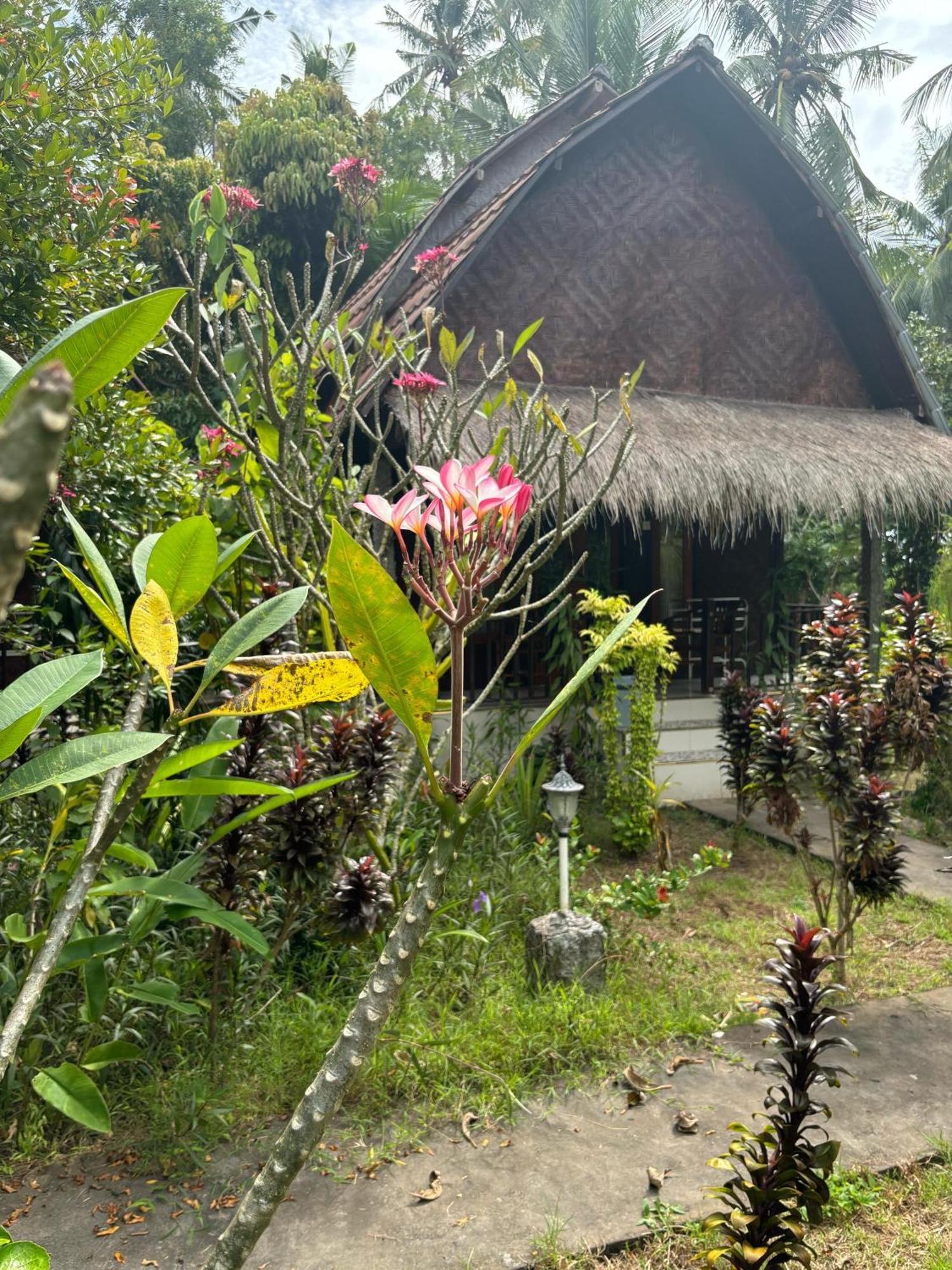 Kubu Artha Bungalow Nusa Penida Ped Екстериор снимка